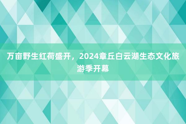 万亩野生红荷盛开，2024章丘白云湖生态文化旅游季开幕