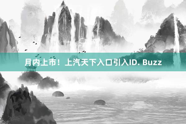 月内上市！上汽天下入口引入ID. Buzz