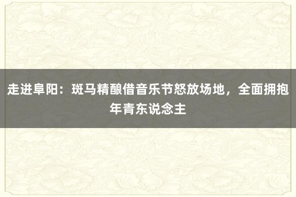 走进阜阳：斑马精酿借音乐节怒放场地，全面拥抱年青东说念主