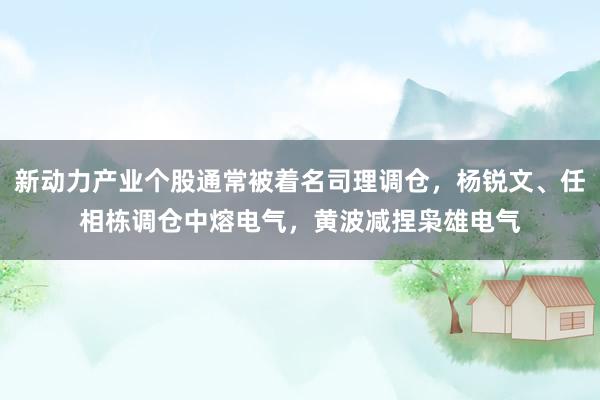 新动力产业个股通常被着名司理调仓，杨锐文、任相栋调仓中熔电气，黄波减捏枭雄电气