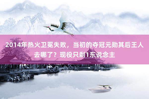 2014年热火卫冕失败，当初的夺冠元勋其后王人去哪了？现役只剩1东说念主