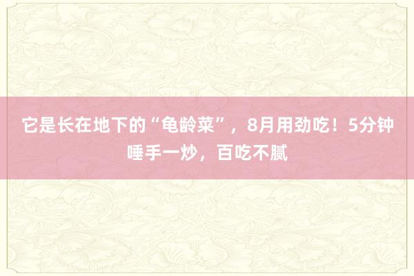 它是长在地下的“龟龄菜”，8月用劲吃！5分钟唾手一炒，百吃不腻