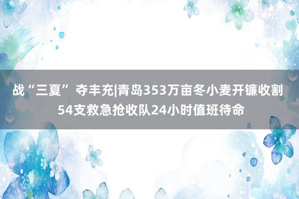 战“三夏” 夺丰充|青岛353万亩冬小麦开镰收割  54支救急抢收队24小时值班待命