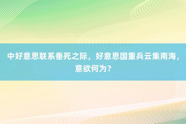 中好意思联系垂死之际，好意思国重兵云集南海，意欲何为？