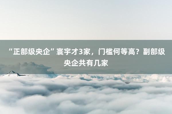 “正部级央企”寰宇才3家，门槛何等高？副部级央企共有几家