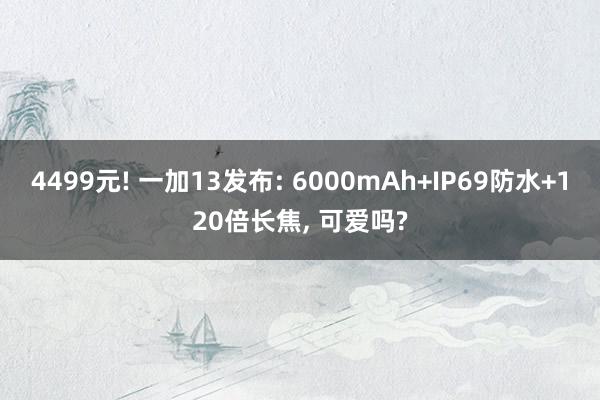 4499元! 一加13发布: 6000mAh+IP69防水+120倍长焦, 可爱吗?